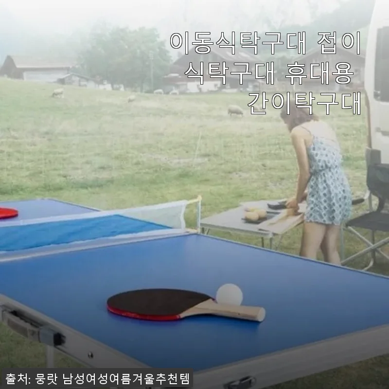 이동식탁구대 접이식탁구대 휴대용 간이탁구대 사용후기