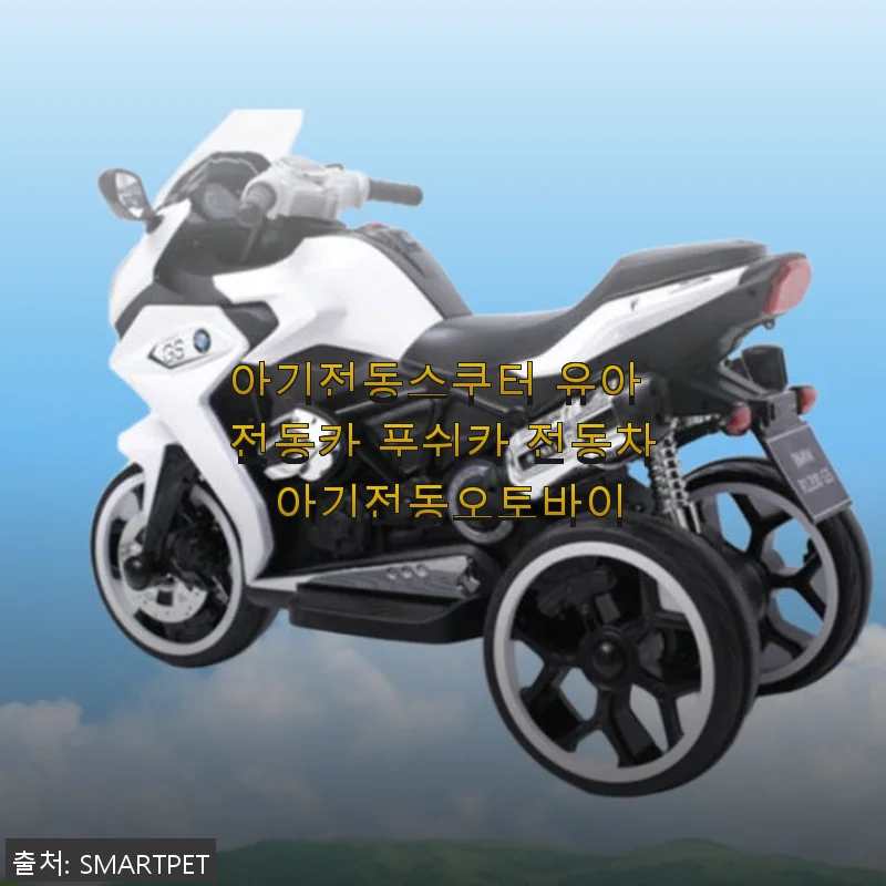 아기전동스쿠터 유아 전동카 푸쉬카 전동차 사용후기 - 우리 아이 첫 전동차 경험기