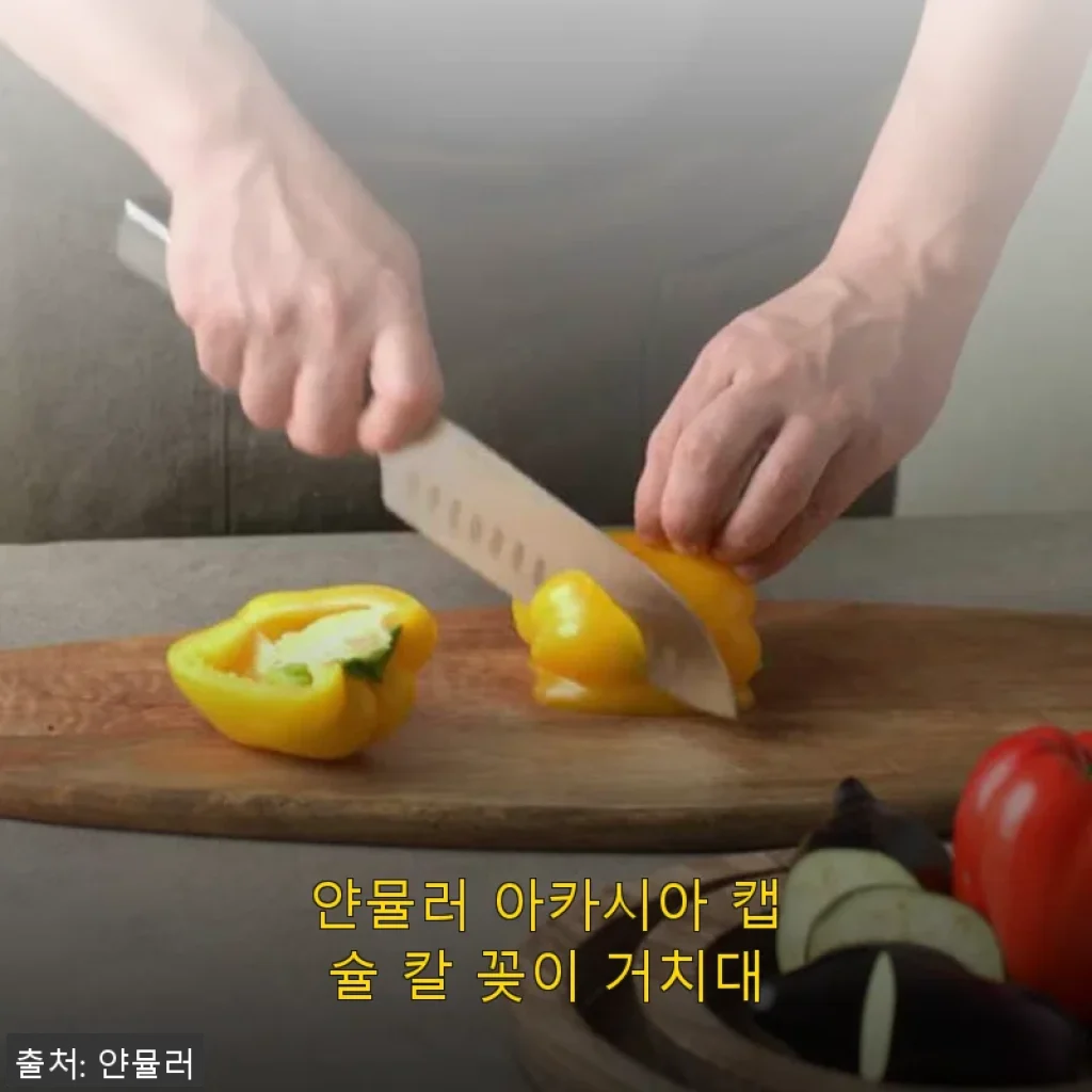 얀뮬러 아카시아 캡슐 칼 꽂이 거치대 사용후기: 실용성과 디자인을 모두 갖춘 선택