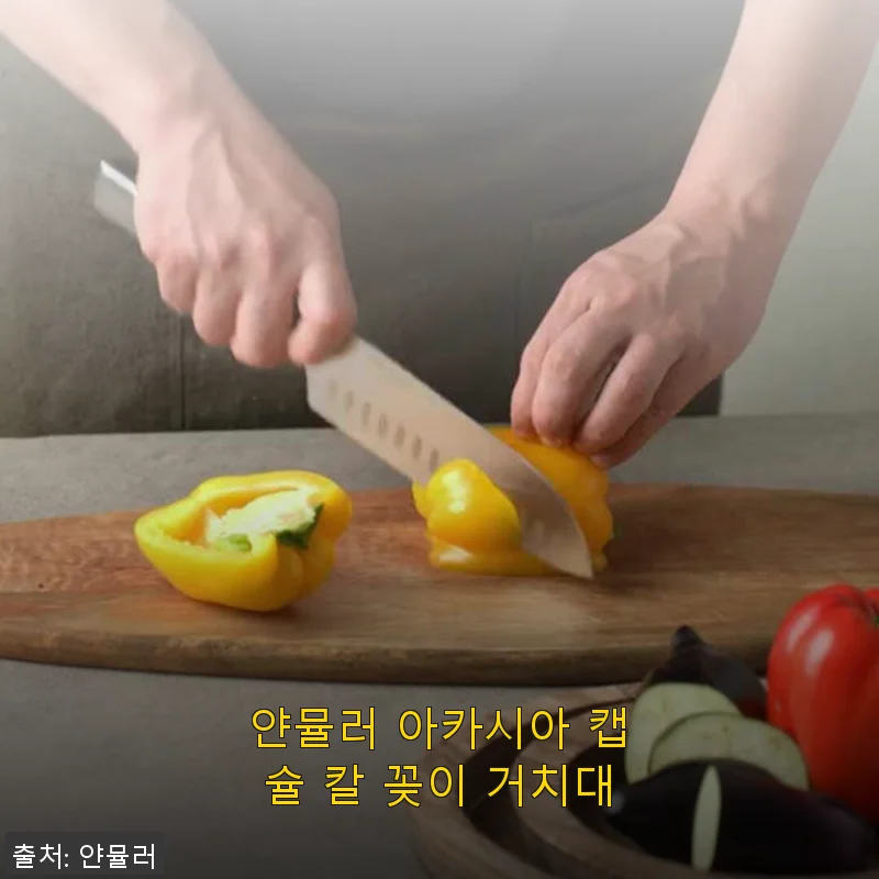 얀뮬러 아카시아 캡슐 칼 꽂이 거치대 사용후기: 실용성과 디자인을 모두 갖춘 선택