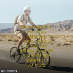 티티카카 플라이트 V10 HD 451 휠셋 접이식 자전거 사용후기