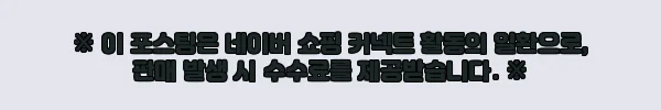 필리핀 보라카이 프라이빗 럭셔리 보트 크루즈, 10명까지 즐기는 특별한 바다 일정 체크 5 이해관계문구