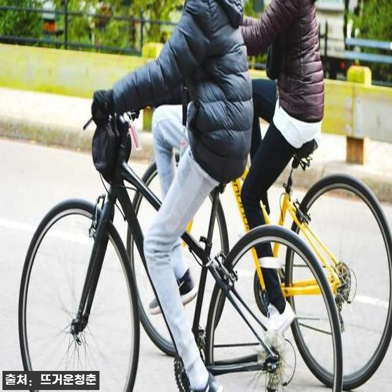 미국 뉴욕 전기자전거 대여 서비스, 뉴욕 일정에 담기 전 체크한 예약 핵심 후기 5 미국 뉴욕 전기자전거 대여 서비스, 관련 이미지 1
