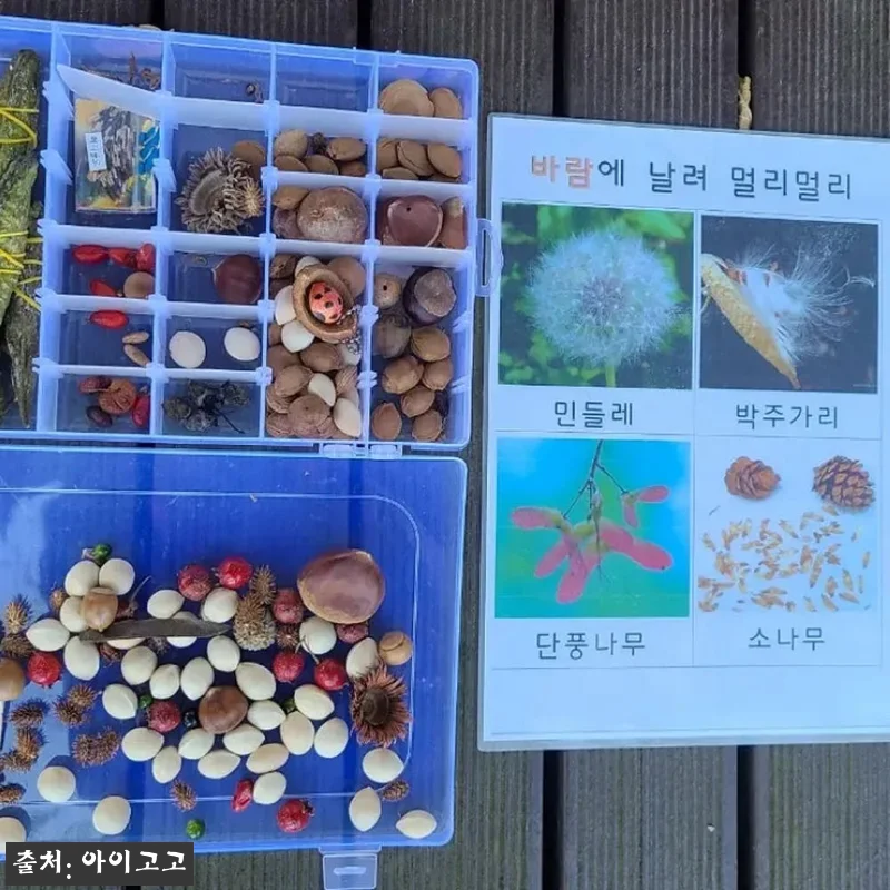 용산가족공원 어린이 할로윈 숲체험, 서울 유아·초등 체험학습 20% 할인 체크 후기 13 용산가족공원 어린이 할로윈 숲체험, 관련 이미지 2