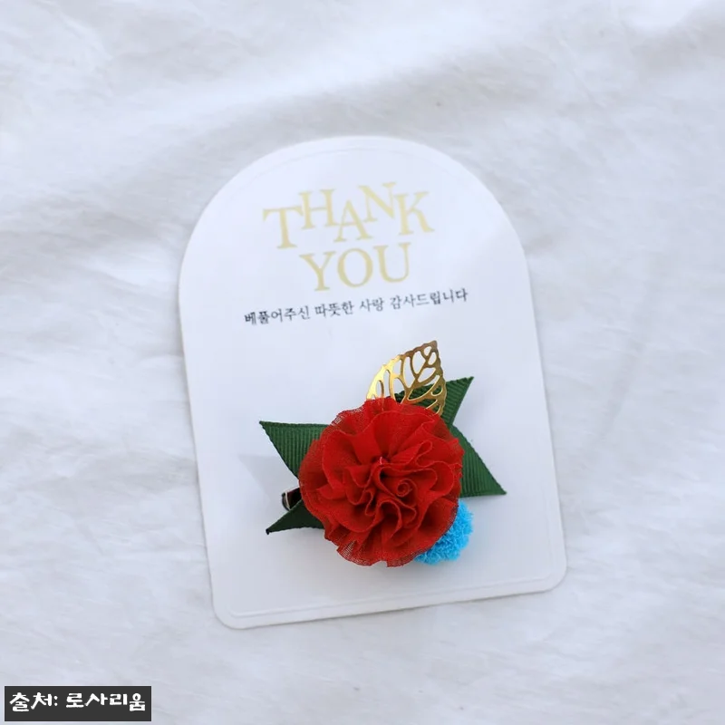 카네이션 코사지 브로치 찐후기 대신 꼼꼼히 본 어버이날·스승의날 선물 선택 팁 13 카네이션 코사지 브로치 찐후기 대신 관련 이미지 3