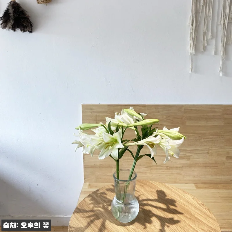 우리타워 백합 3대 꽃배달 찐후기, 1만원대로 준비하는 싱그러운 생화 선물 16 우리타워 백합 3대 꽃배달 찐후기, 관련 이미지 5