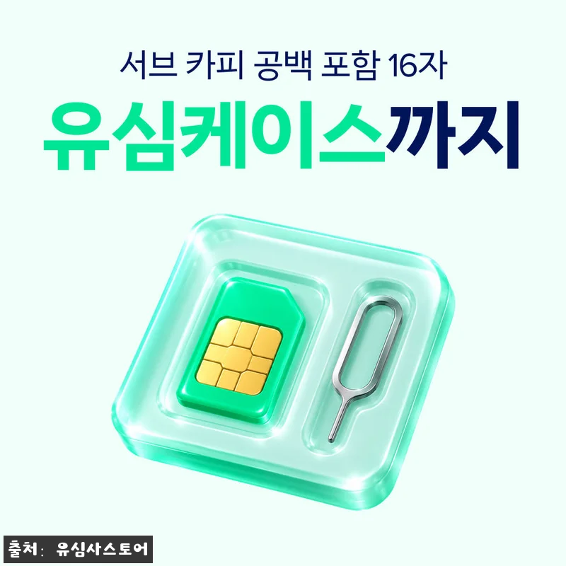 프랑스 유심 USIM 파리 칸 니스 SFR 매일 500MB 무제한 1일 유심사, 출국 전 꼭 체크한 여행 데이터 준비템 13 프랑스 유심 USIM 파리 칸 니스 관련 이미지 5