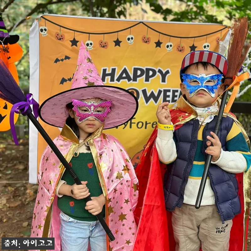 용산가족공원 어린이 할로윈 숲체험, 서울 유아·초등 체험학습 20% 할인 체크 후기 17 용산가족공원 어린이 할로윈 숲체험, 관련 이미지 6