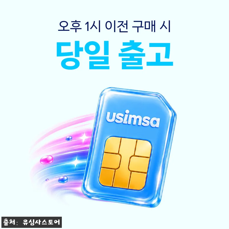 프랑스 유심 USIM 파리 칸 니스 SFR 매일 500MB 무제한 1일 유심사, 출국 전 꼭 체크한 여행 데이터 준비템 14 프랑스 유심 USIM 파리 칸 니스 관련 이미지 6
