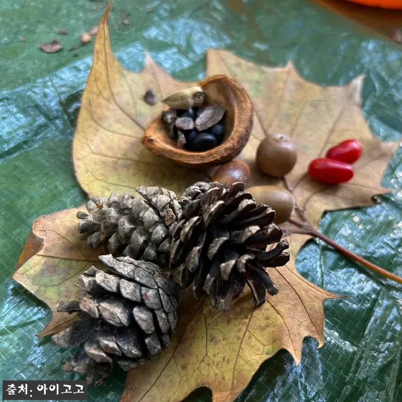 용산가족공원 어린이 할로윈 숲체험, 서울 유아·초등 체험학습 20% 할인 체크 후기 18 용산가족공원 어린이 할로윈 숲체험, 관련 이미지 7