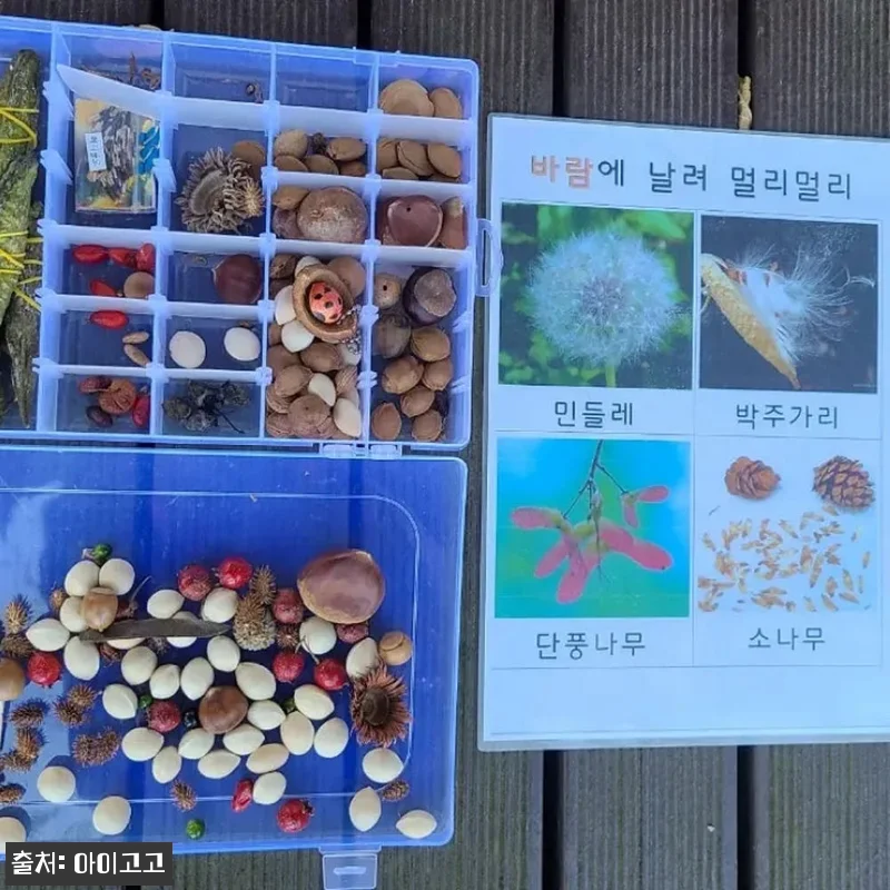 일산호수공원 어린이 할로윈 숲체험, 서울 인근 주말 체험으로 눈여겨본 이유 19 일산호수공원 어린이 할로윈 숲체험, 관련 이미지 8