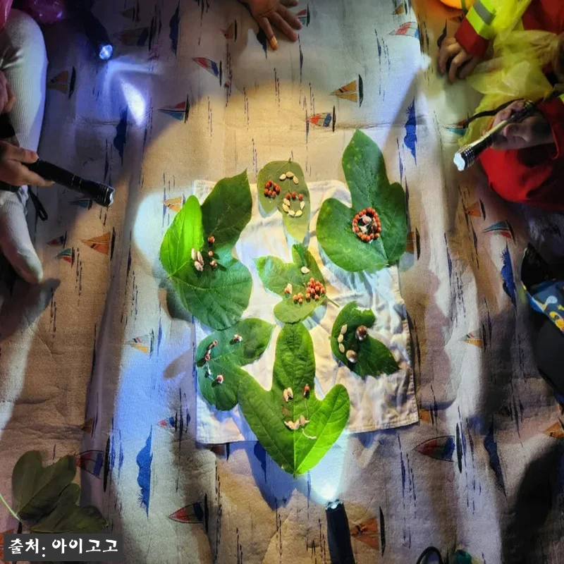 용산가족공원 어린이 할로윈 숲체험, 서울 유아·초등 체험학습 20% 할인 체크 후기 20 용산가족공원 어린이 할로윈 숲체험, 관련 이미지 9