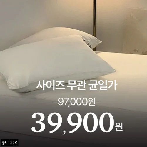 Home 76 호무로 초고밀도 알러지케어 항균 매트리스 커버 SS, 3만원대 균일특가 체크포인트