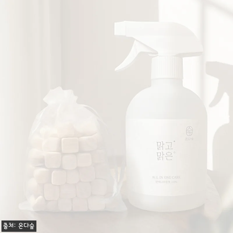 온다숲 맑고맑은 스프레이 500ml+편백큐브50g, 할인 가격으로 살펴본 집안 탈취템