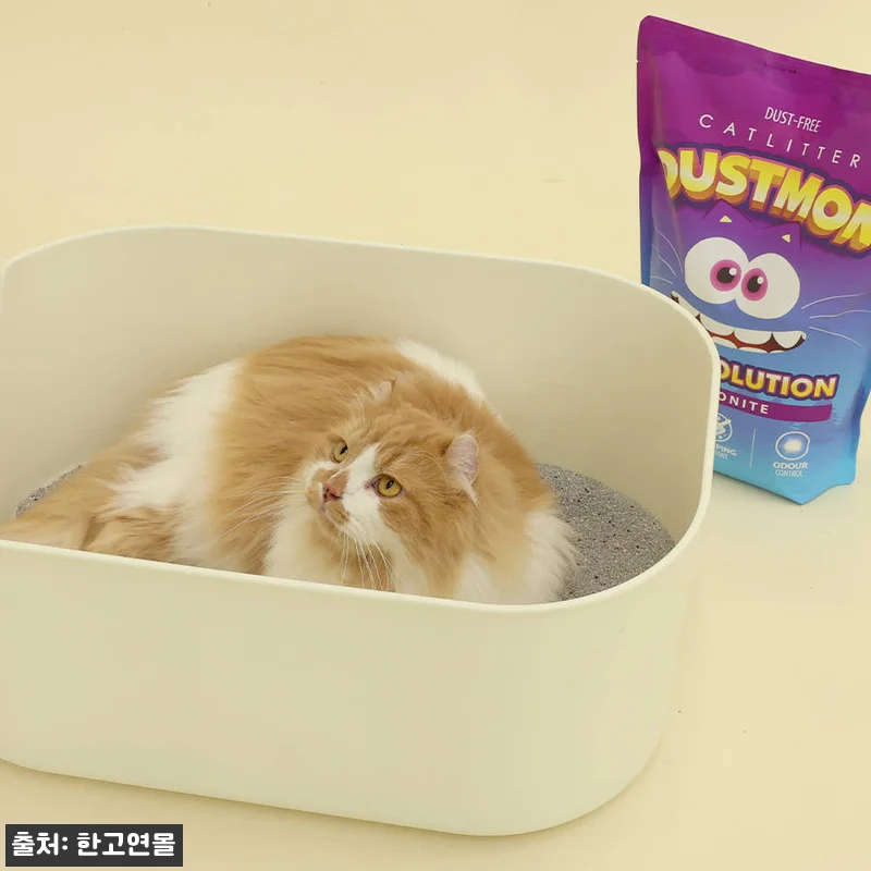 더스트몬 먼지없는 고양이모래 무향 토탈솔루션 벤토나이트 6kg 2개, 응고력 칭찬 많은 이슈템 후기 11 더스트몬 먼지없는 고양이모래 무향 토 관련 이미지 1