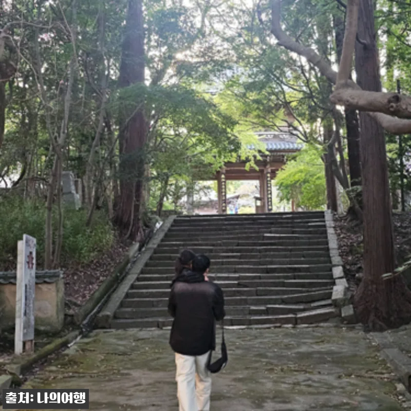 부관훼리 워킹맘투어 산리오 하모니랜드 시모노세키 3박4일, 아이 동반 일본 가족여행으로 눈여겨본 이유 15 부관훼리 워킹맘투어 산리오 하모니랜드 관련 이미지 4
