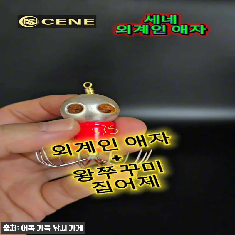 세네 외계인 주꾸미 애자 14호, 8,000원 무료배송으로 장비 챙긴 후기형 구매 가이드 10 세네 외계인 주꾸미 애자 14호, 8 관련 이미지 4