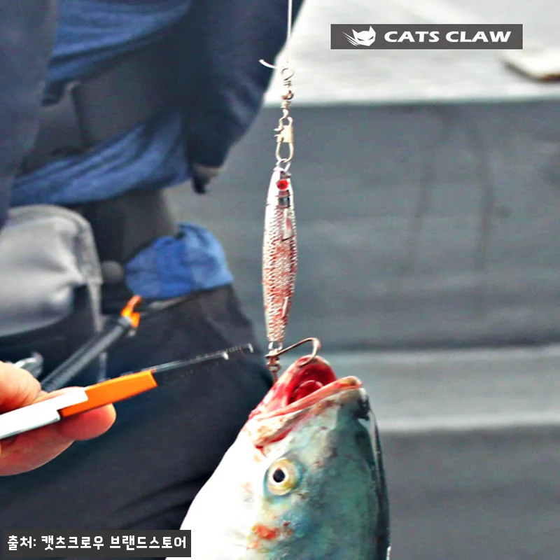 캣츠크로우 멸치지그 AN-43, 대삼치 공략 전 챙겨볼 크롬 메탈지그 이슈템 13 캣츠크로우 멸치지그 AN-43, 대삼 관련 이미지 5