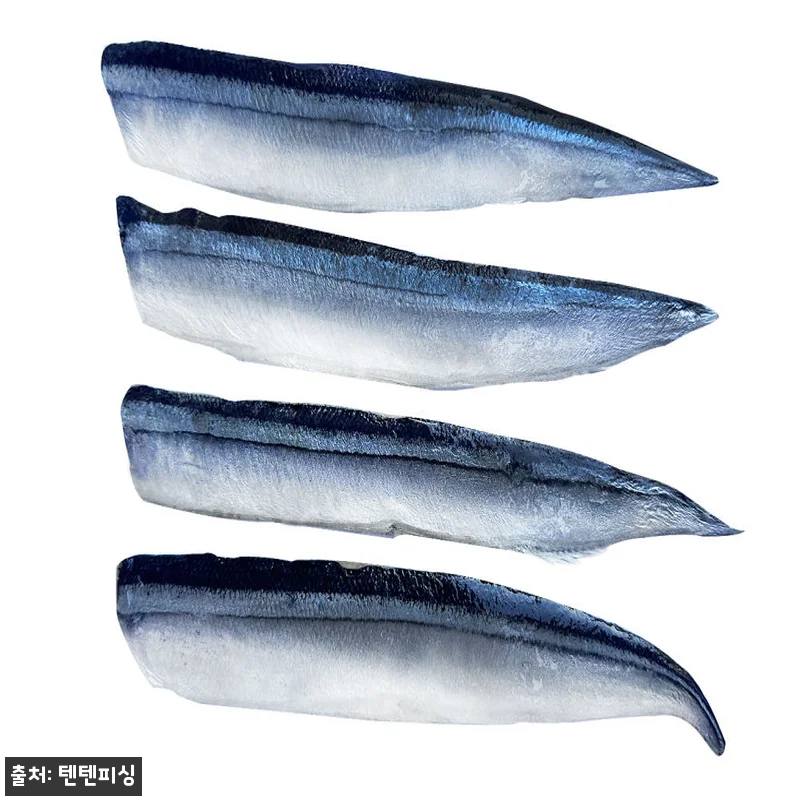낚시야 꽁치미끼 생미끼, 갈치·풀치 낚시 준비할 때 체크한 2,500원 이슈템 15 낚시야 꽁치미끼 생미끼, 갈치·풀치 관련 이미지 5