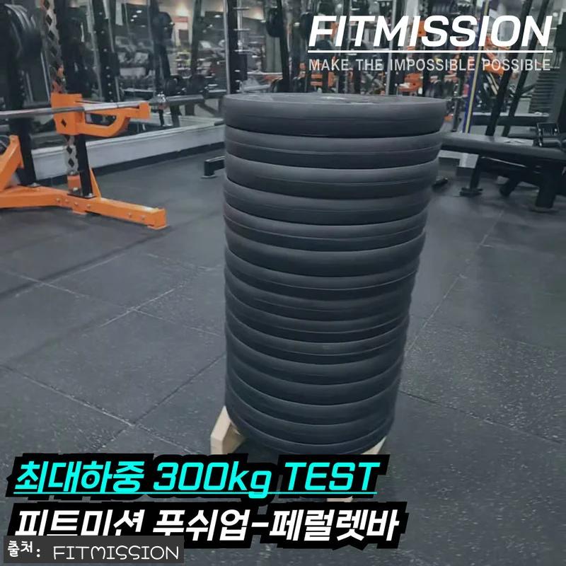 피트미션 페럴렛바 33cm, 플란체 연습 전 눈여겨볼 푸쉬업바 할인 정보 16 피트미션 페럴렛바 33cm, 플란체 관련 이미지 5
