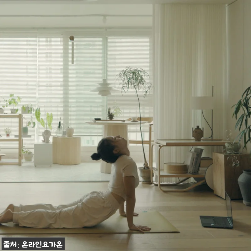 온라인요가온 YOGAON 데일리요가 VIP 수강권, 3개월 루틴 만들기 좋은 실시간 온라인 요가 17 온라인요가온 YOGAON 데일리요가 관련 이미지 6