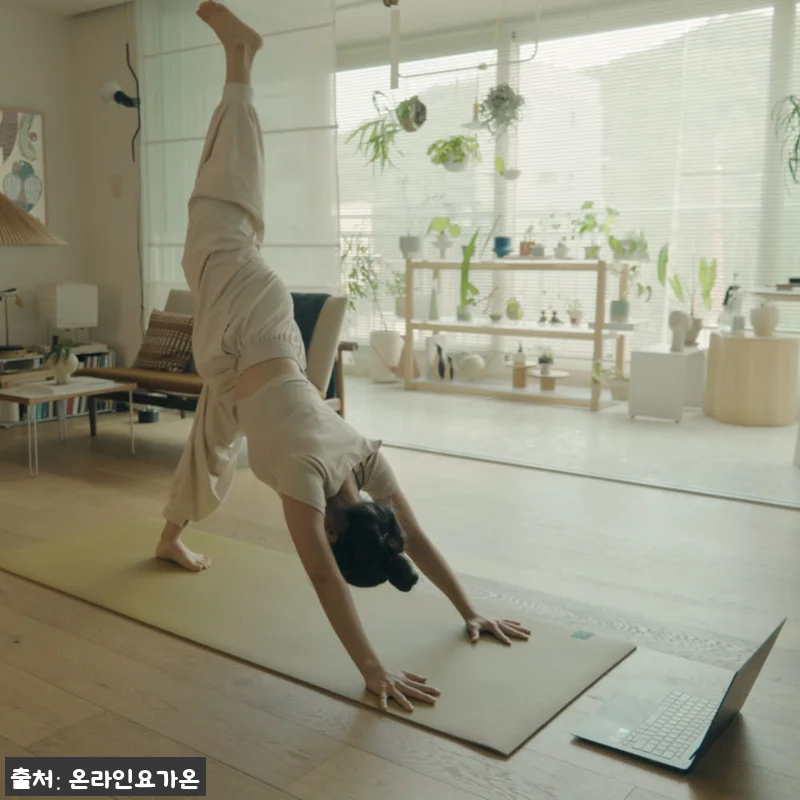 온라인요가온 YOGAON 데일리요가 VIP 수강권, 3개월 루틴 만들기 좋은 실시간 온라인 요가 18 온라인요가온 YOGAON 데일리요가 관련 이미지 7