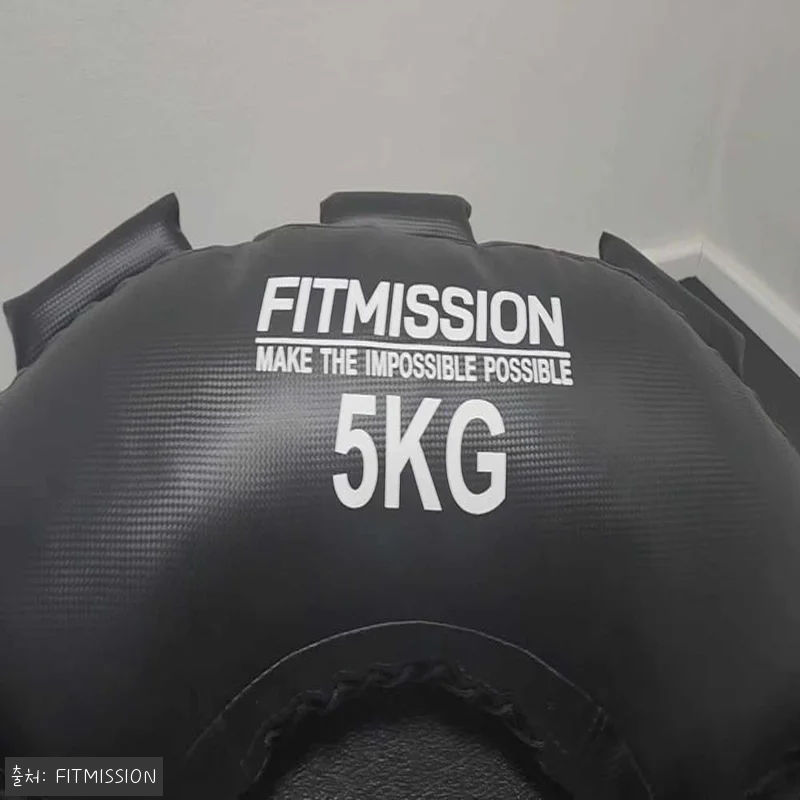 피트미션 불가리안백 12kg 찐후기 체크! 홈트 중량운동용으로 눈여겨볼 이슈템 20 피트미션 불가리안백 12kg 찐후기 관련 이미지 9