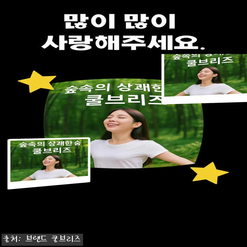 딥앤스윗 쿨브리즈 페퍼민트향 200g, 작은 공간 냄새 관리용으로 눈여겨볼 이슈템 22 딥앤스윗 쿨브리즈 페퍼민트향 200g 관련 이미지 10